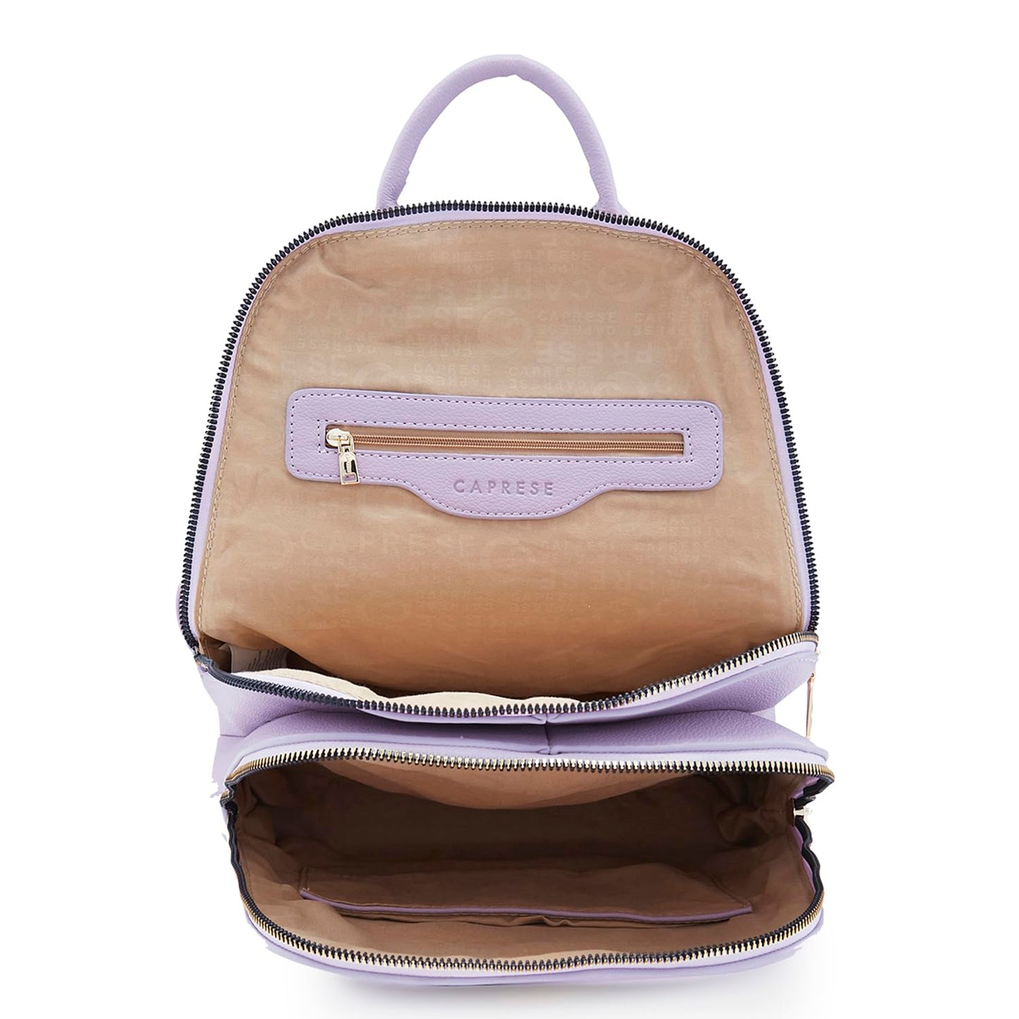 Caprese Linz Casual Backpack, Medium | Fashion Backpack for Women with Adjustable Shoulder Strap & Secure Zip Closure | Spacious, Versatile for Everyday Outings and Travel (Violet)