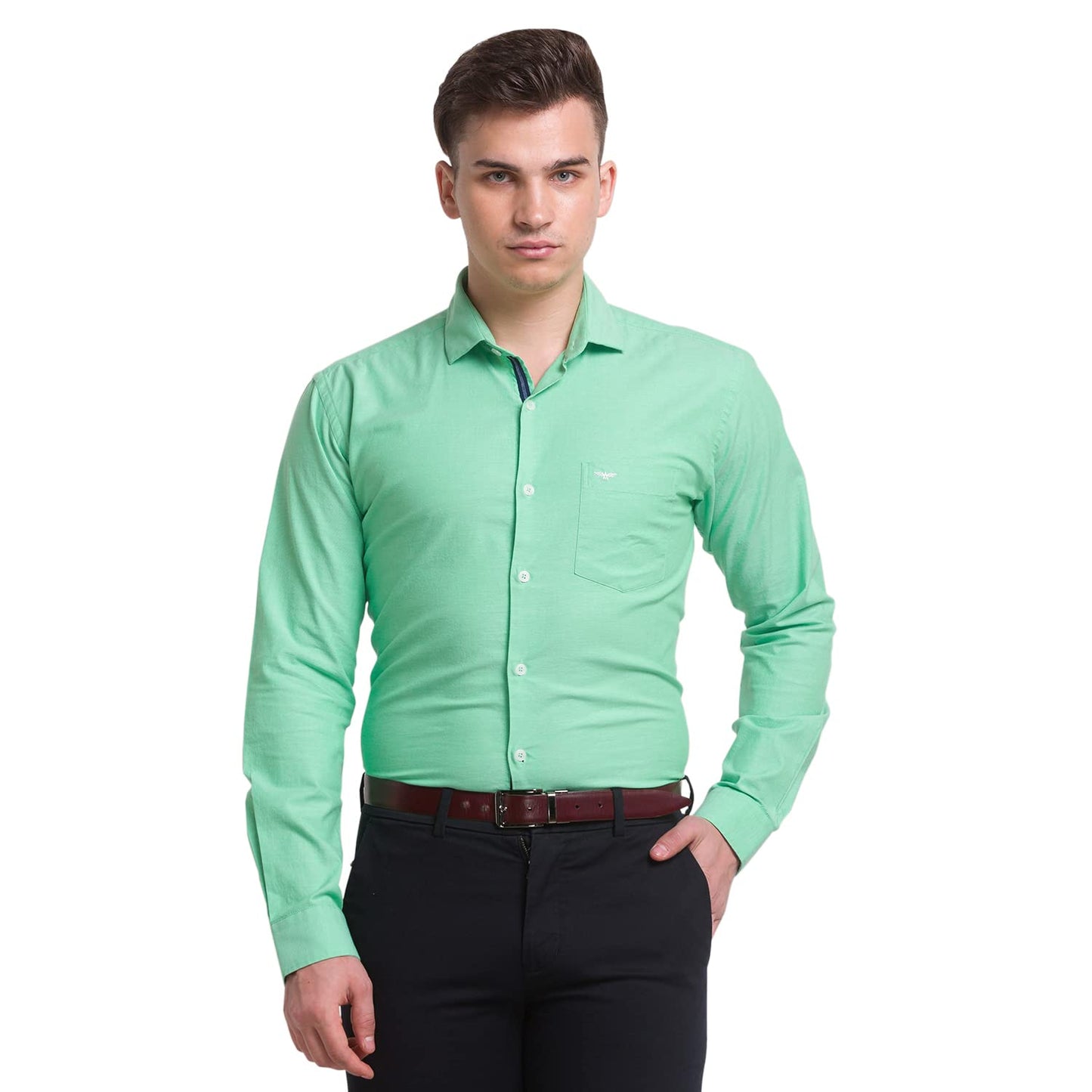 PARK AVENUE Men's Striped Slim Shirt (Green)