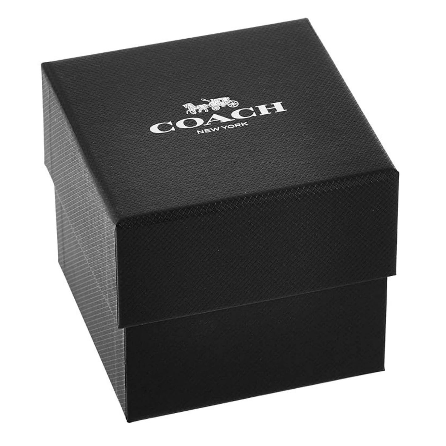 COACH Analog Silver Dial Women's Watch-14503830