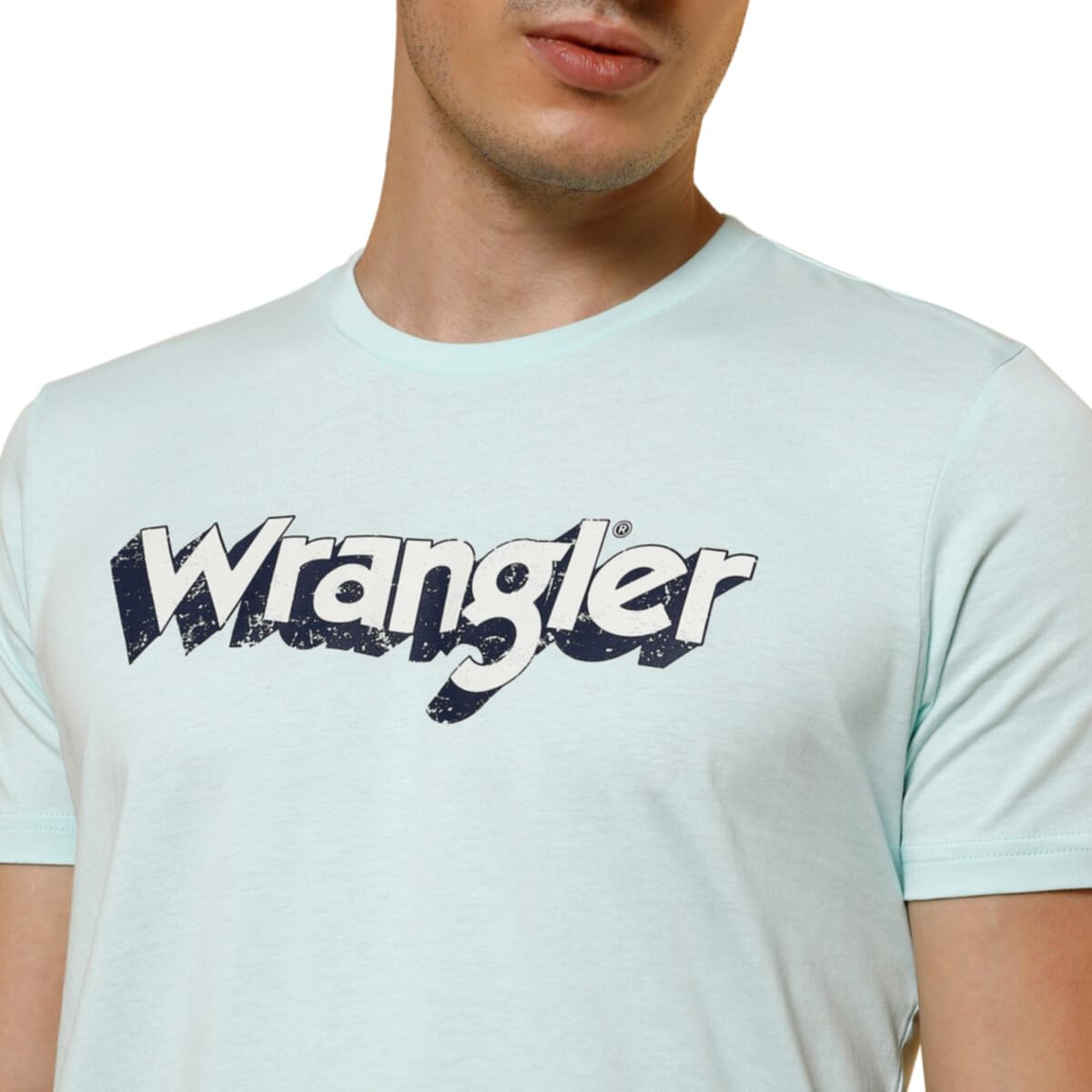 Wrangler Men's Regular Fit T-Shirt (WMTS005614_ICY Morn