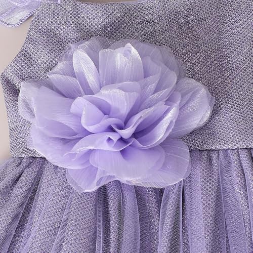 Hopscotch Girls Lilac Short Sleeves Floral Applique Sparkle Party Dress for Age (2-3 Years)
