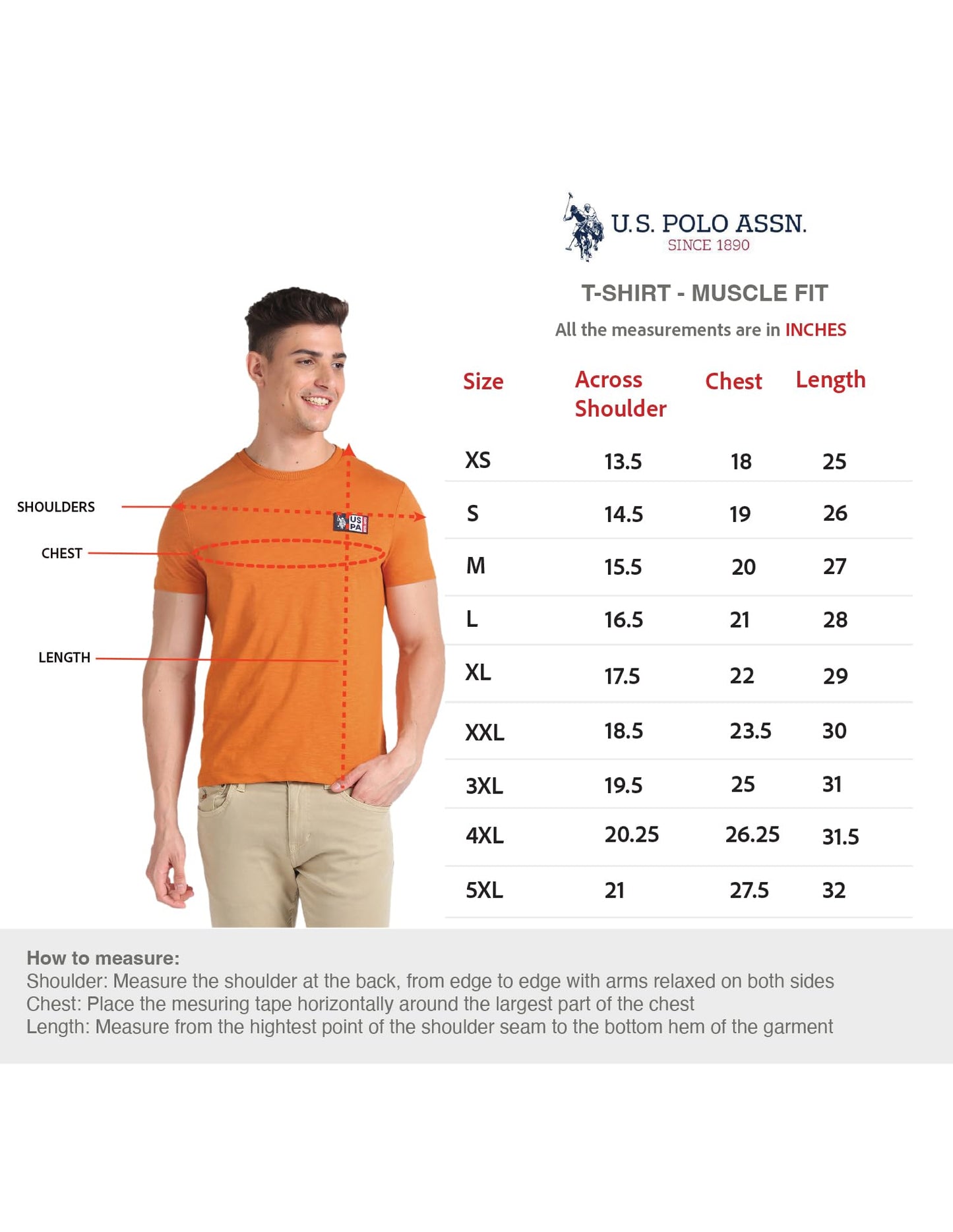 U.S. POLO ASSN. Men's Crew Neck Brand Print Cotton T-Shirt (USTSHS1368_Blue_L)