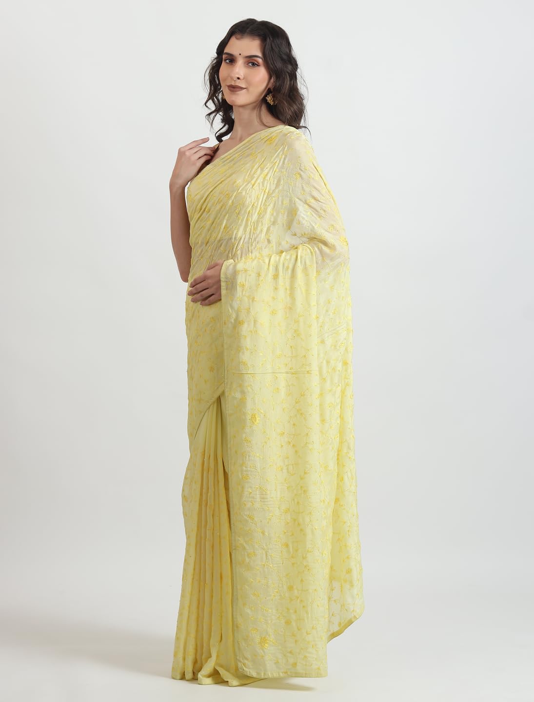 THE WEAVERS SHOP BY RAAVI Pure Chiffon Thread Jaal Hand Embroidery Saree With Unstitched Blouse
