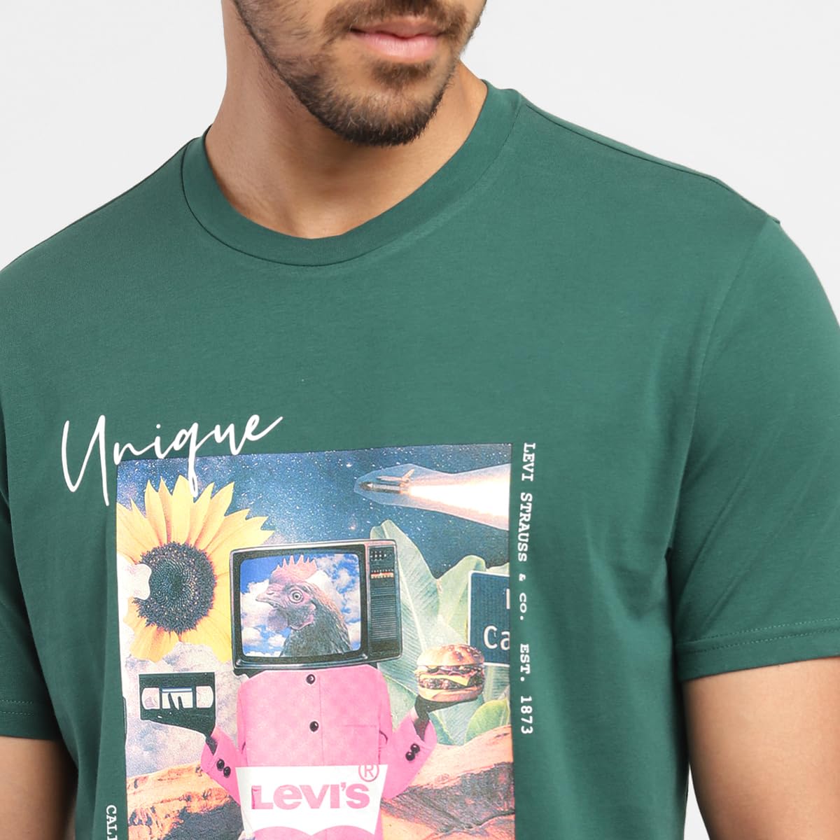 Levi's Men's Regular Fit T-Shirt (16960-0852_Green L)