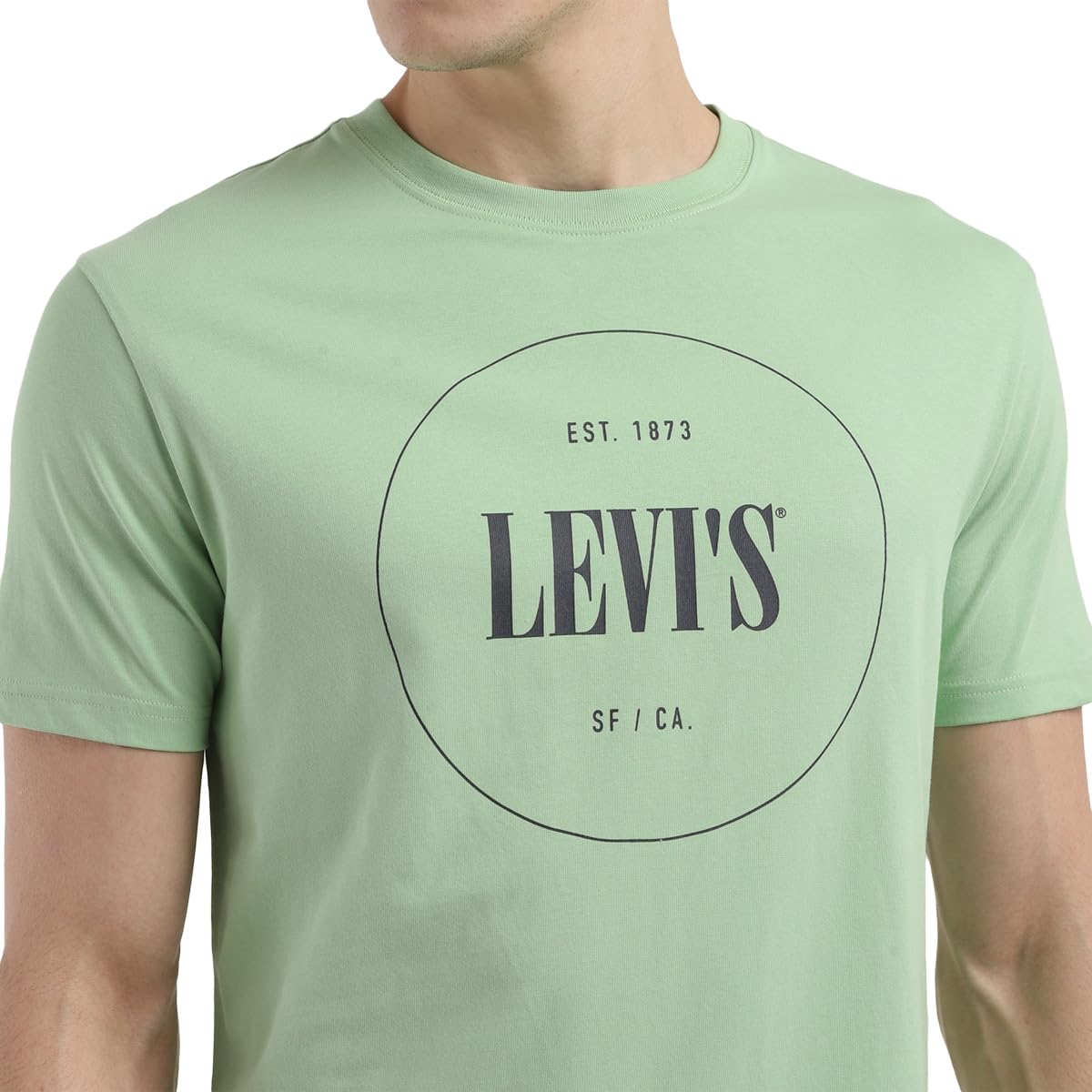 Levi's Men's Regular Fit T-Shirt (16960-1166_Green