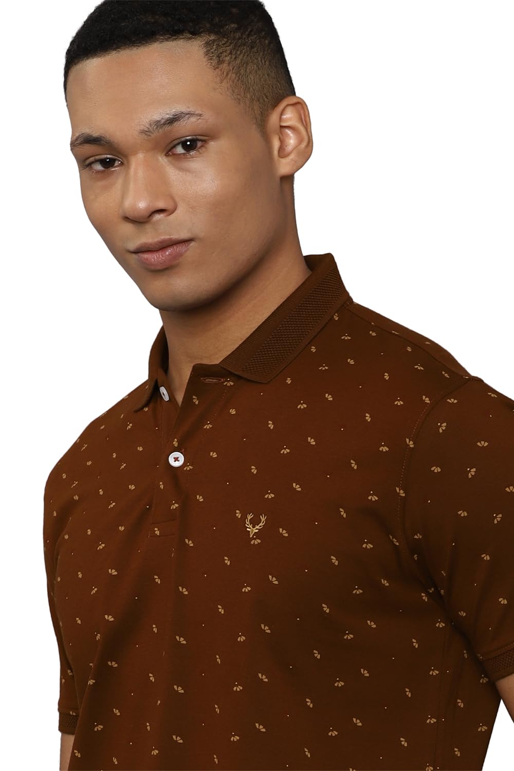 Allen Solly Men's Cotton Solid Regular Fit T Shirt (Askpcurgfl86912_Maroon L)