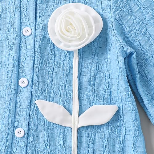 Hopscotch Girls Blue Full Sleeves Floral Applique A-line Dress for Age (6-7 Years)