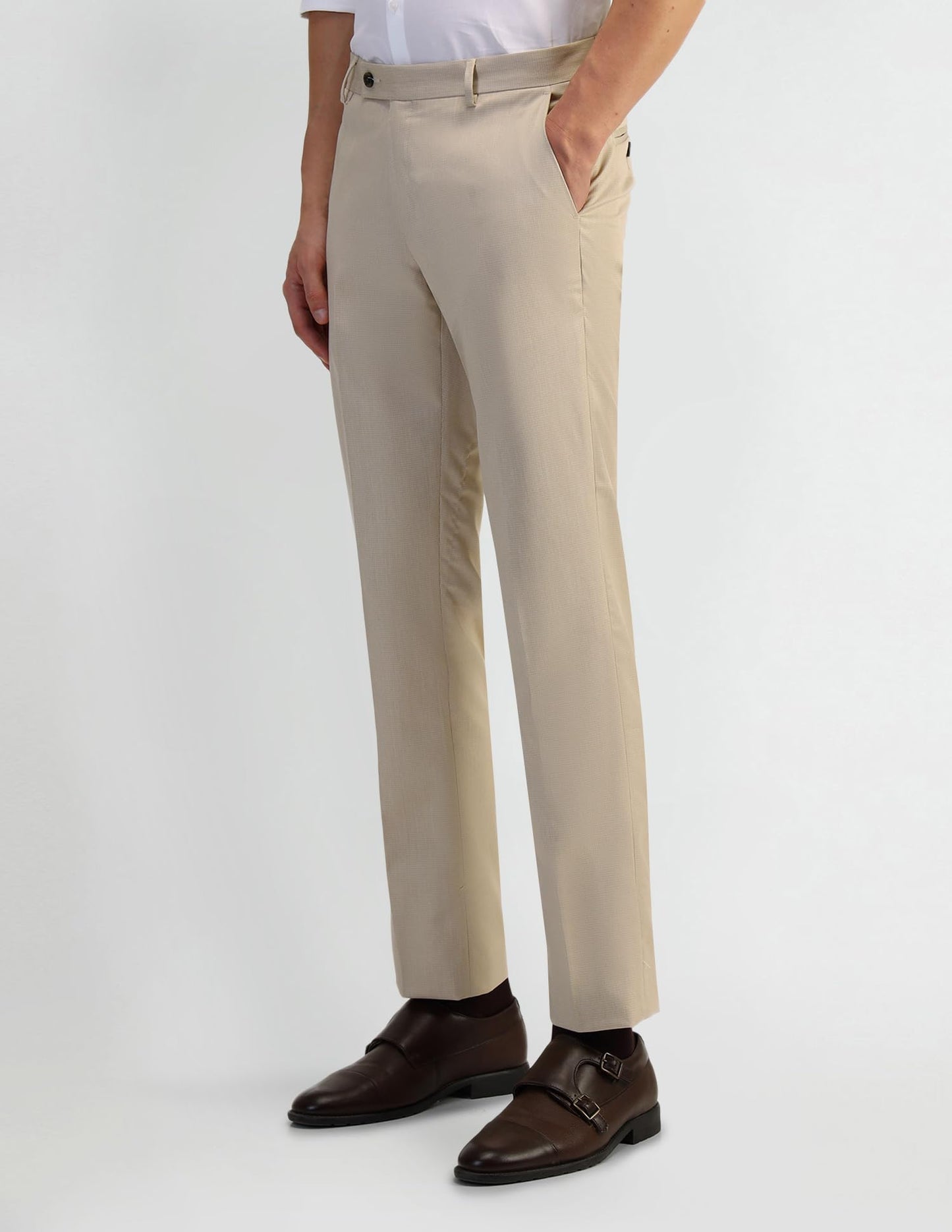 Arrow Men's Beige Textured Mid Rise Polyester Button Tapered Fit Flat Front Slant Pocket Trousers (ARAEOTR1604_Beige_34)