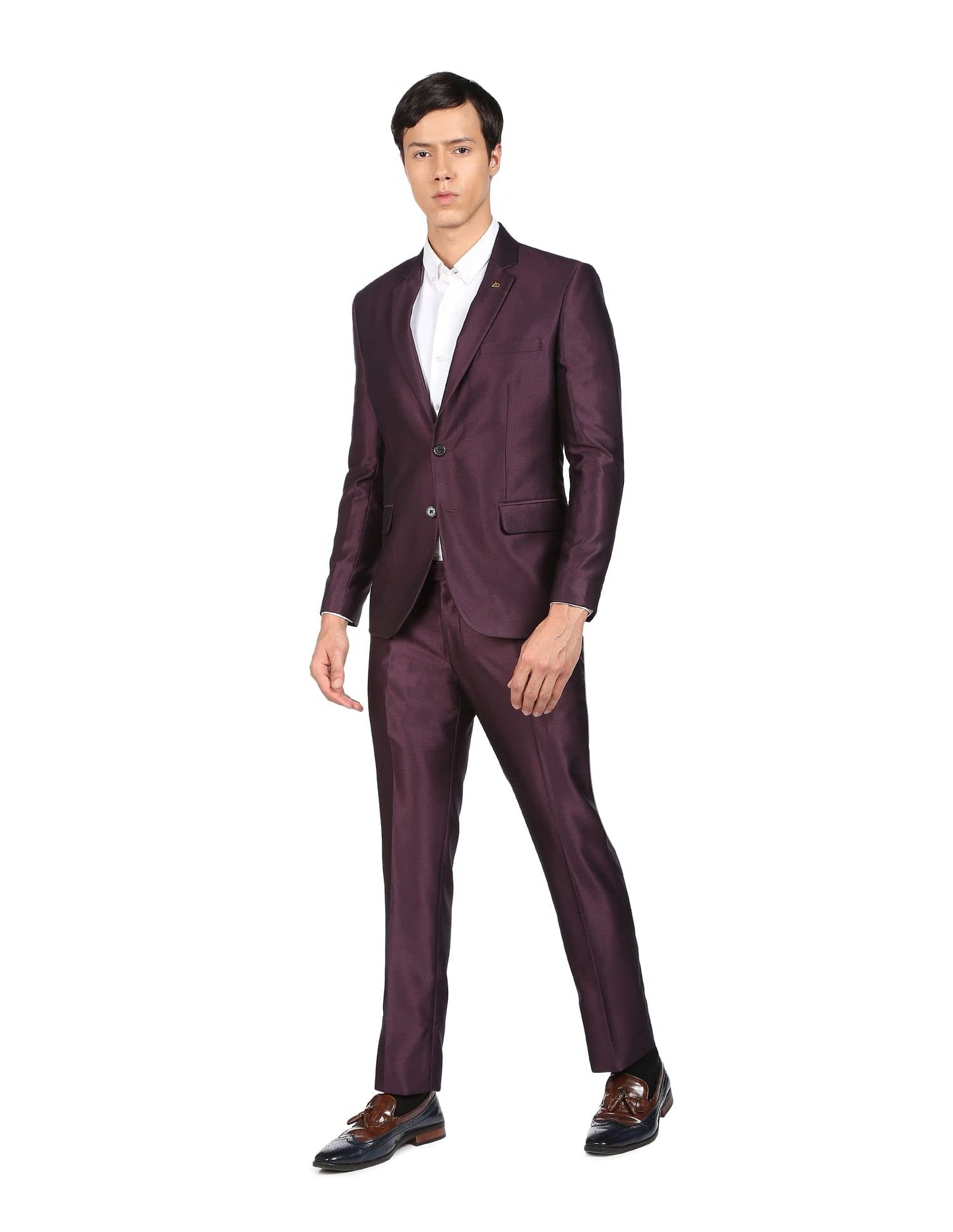 Arvind Men Wine Single Breasted Two Piece Suit
