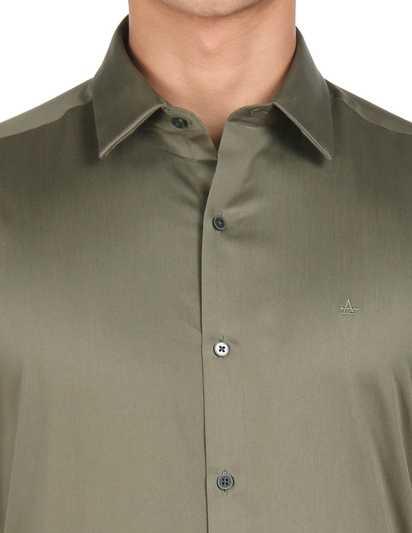 Arrow Men's Solid Regular Fit Shirt (Green)