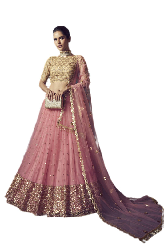 Divine Exim Women's Net Semi Stitched Lehenga Choli with Dupatta | Dori and Sequin Embroidery Pattern | Traditional, Wedding, Ethnic Wear Lehenga (Pink)