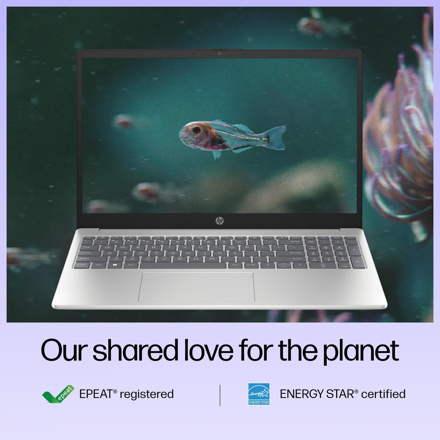 HP 15, 13th Gen Intel Core i3-1315U, 8GB DDR4, 512GB SSD, (Win 11, Office 21, Grey, 1.59kg), Anti-Glare, Micro-Edge,15.6-inch(39.6cm), FHD Laptop, Intel UHD Graphics, 1080p FHD Camera, fd0006TU