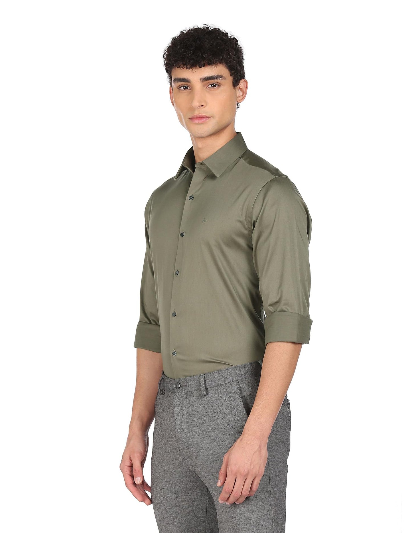 Arrow Men's Solid Regular Fit Shirt (Green)