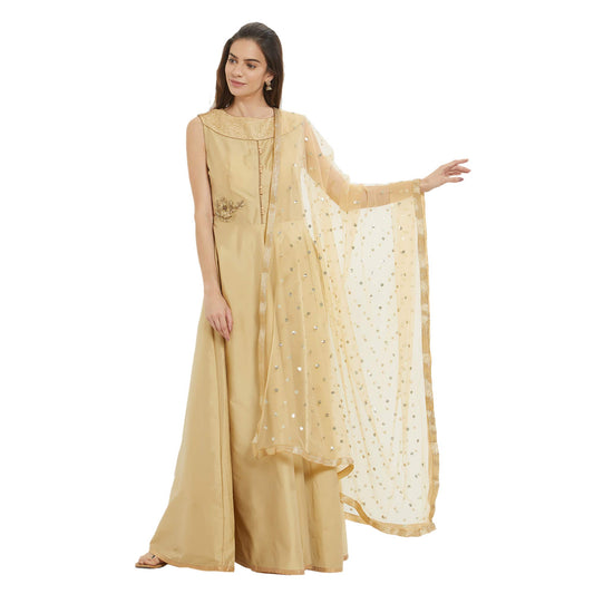 DUPATTA BAZAAR Woman's Embellished Beige Net Dupatta