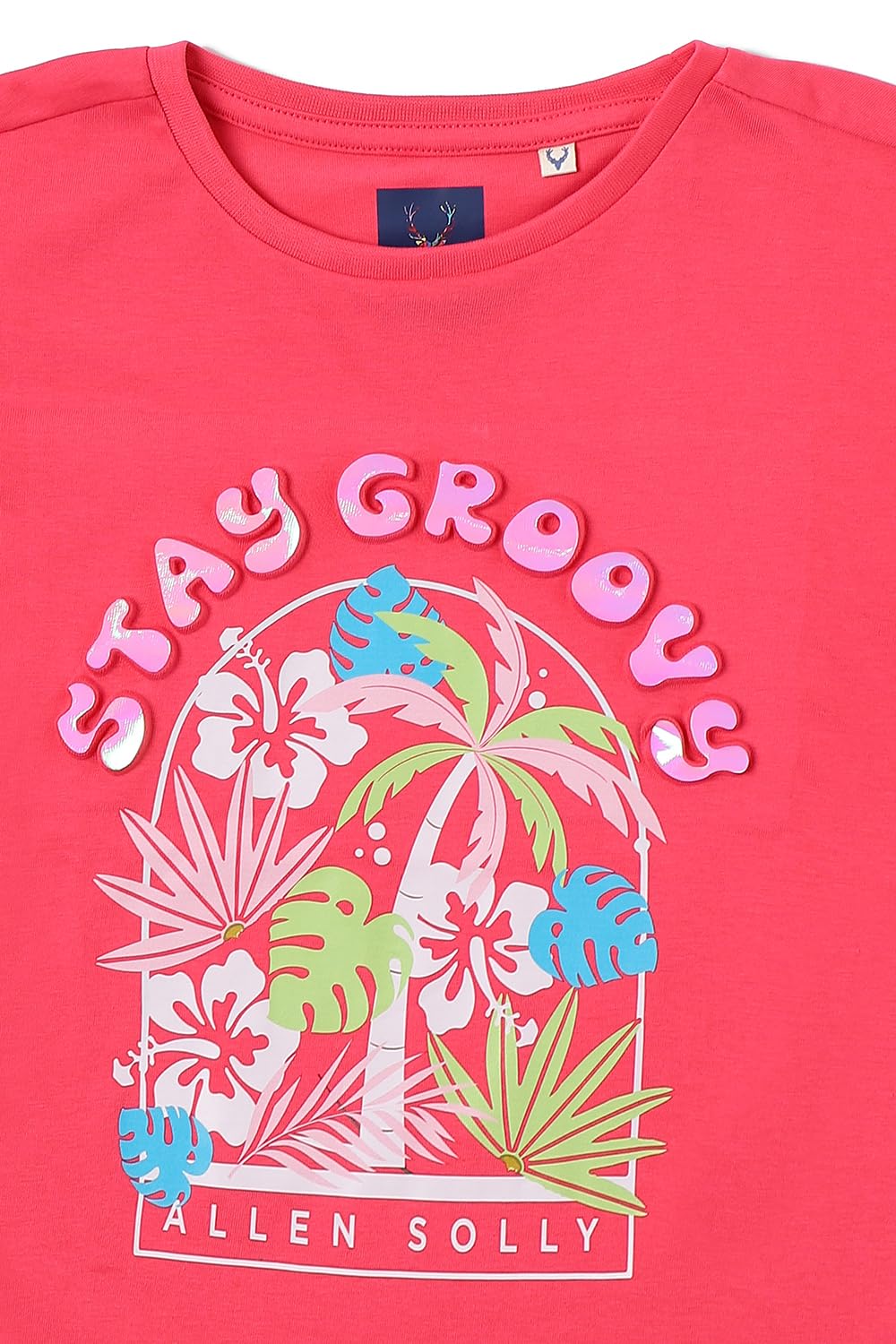Allen Solly Girl's Regular Fit T-Shirt (AGKCERGFS62836_Pink