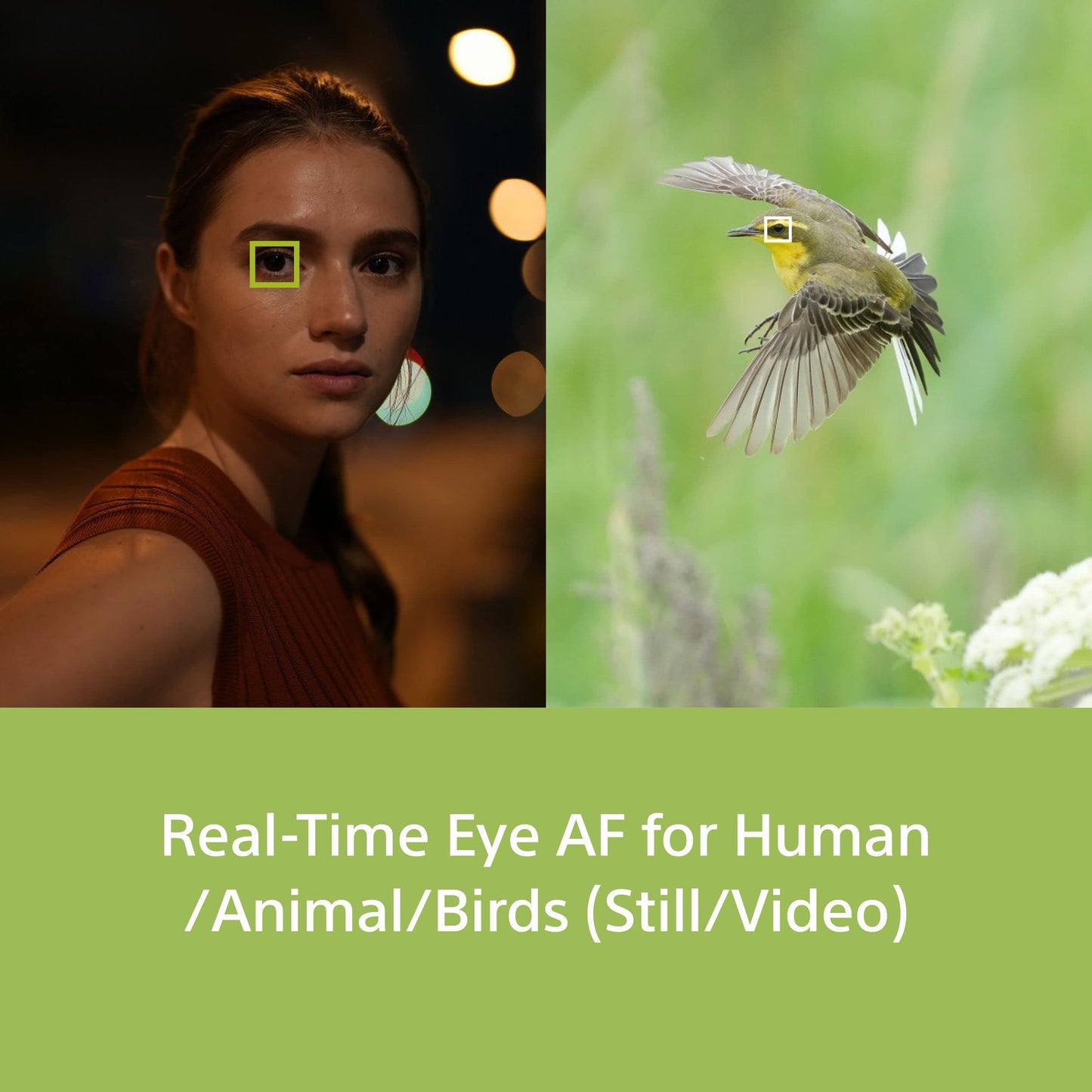 Sony Alpha ILCE-7M4 Full-Frame Hybrid Camera 33MP Interchangeable-Lens Mirrorless Camera Body (4K 60P Video Recording, Real-Time Eye AF for Humans, Birds, Animals) - Digital_Zoom, Black,