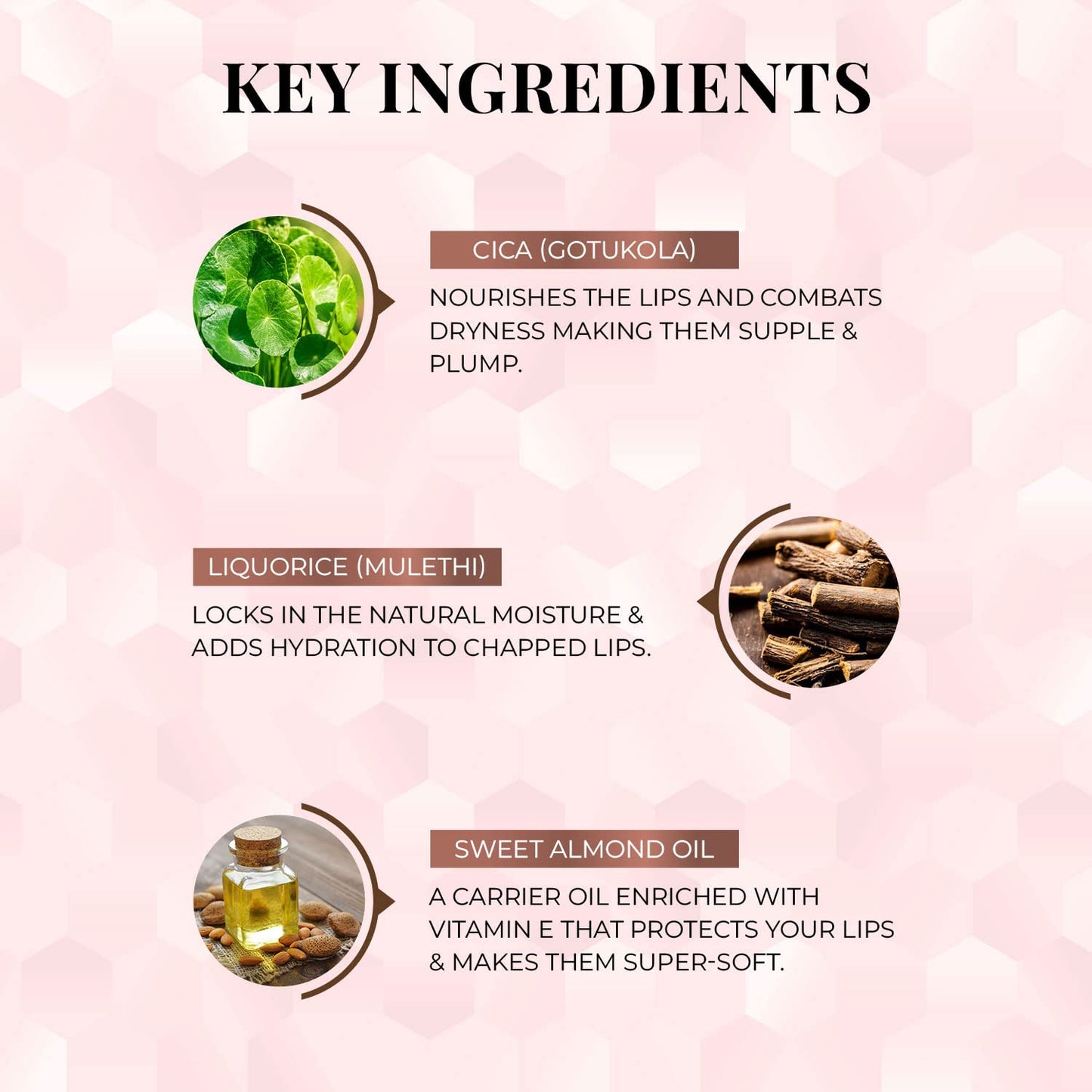 Just Herbs Ayurvedic Liquid Lipstick Kit Set of 5 with Long Lasting Matte Finish, Hydrating & Lightweight Lip Colour, Deeps & Reds - Paraben & Silicon Free - 5 ml (Pack of 2)