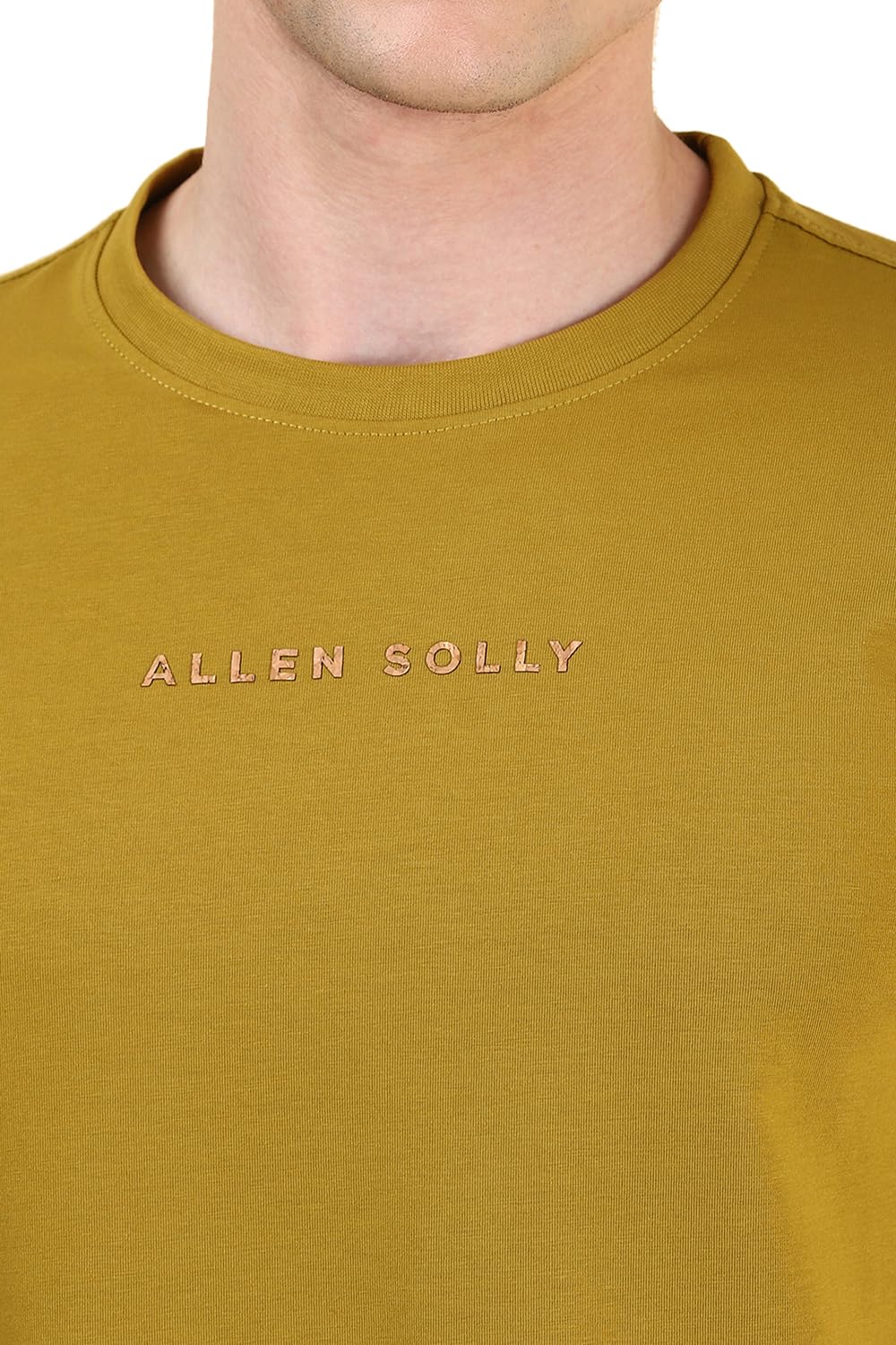 Allen Solly Men Khaki Solid Crew Neck T-Shirt