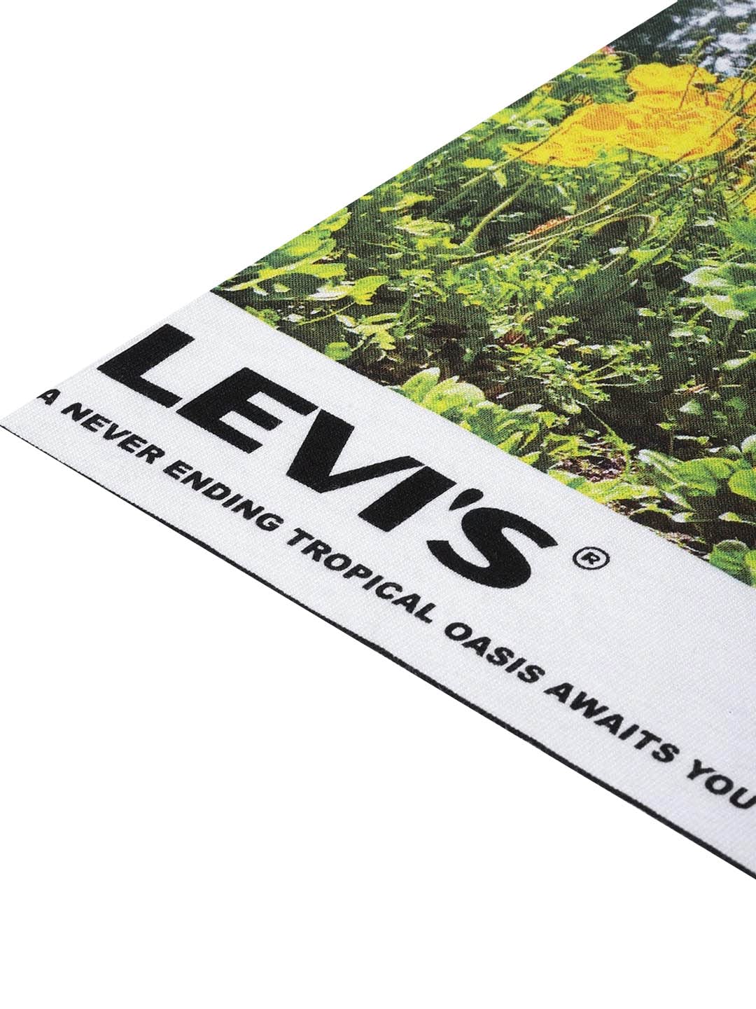 Levi's Men's Cotton Regular T-Shirt (16960-0663_Brilliant White M)