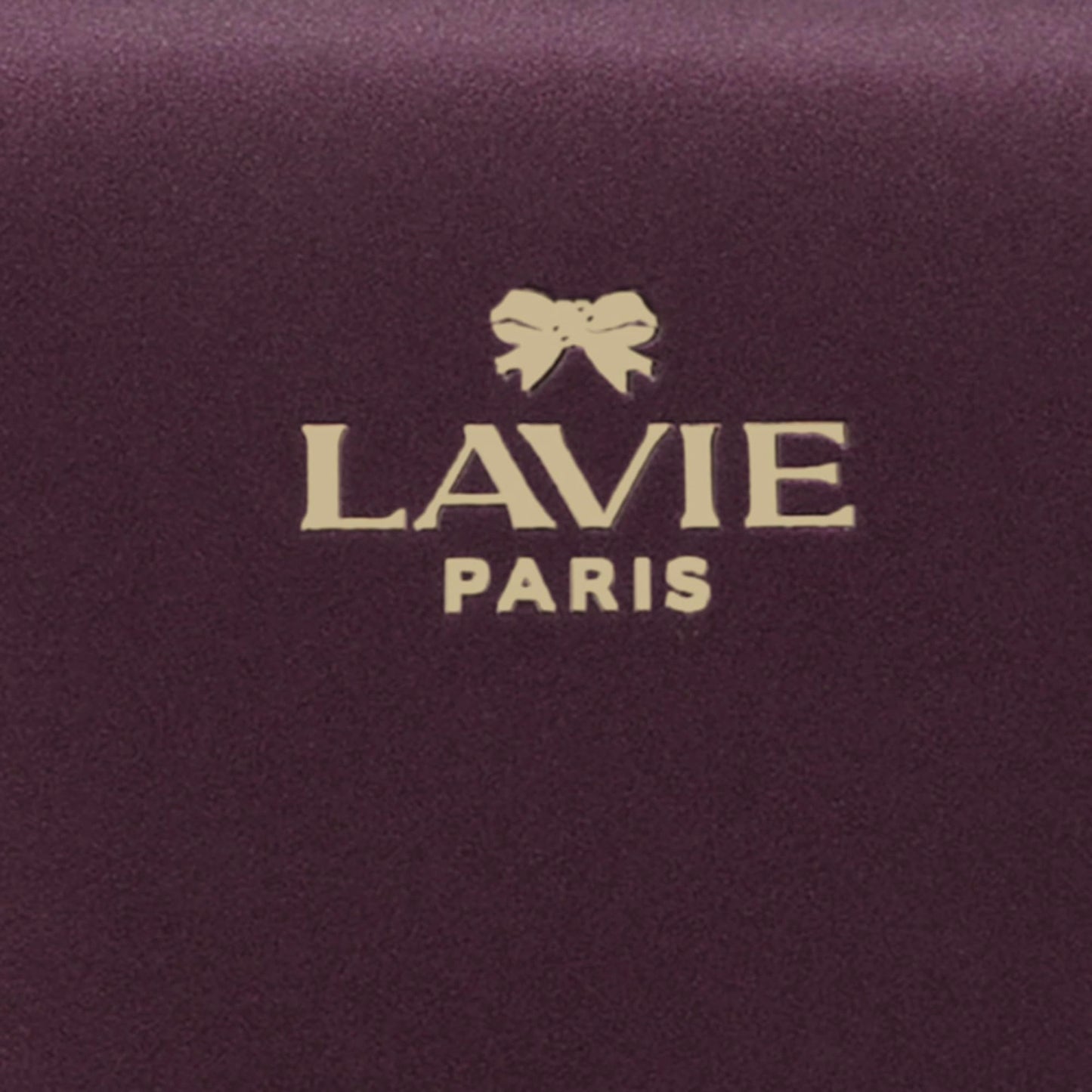 LAVIE PARIS Women's Gazelle Frame Satchel Bag | Satchel Handbag for Work | Ladies Purse | Stylish Shoulder Bag | Gift for Women