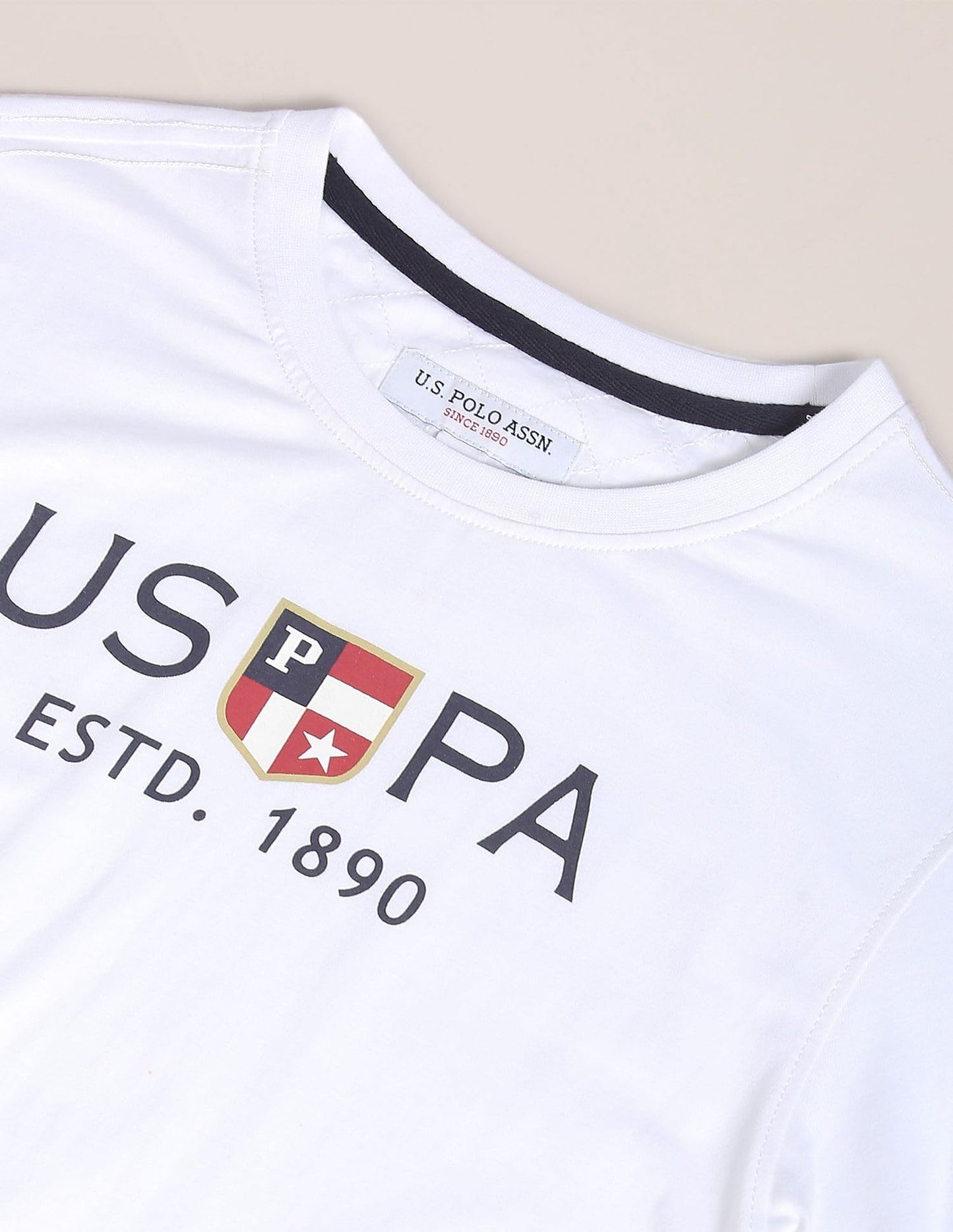 U.S. POLO ASSN. Men's Crew Neck Brand Print Cotton T-Shirt (USTSHS1374_White_L)