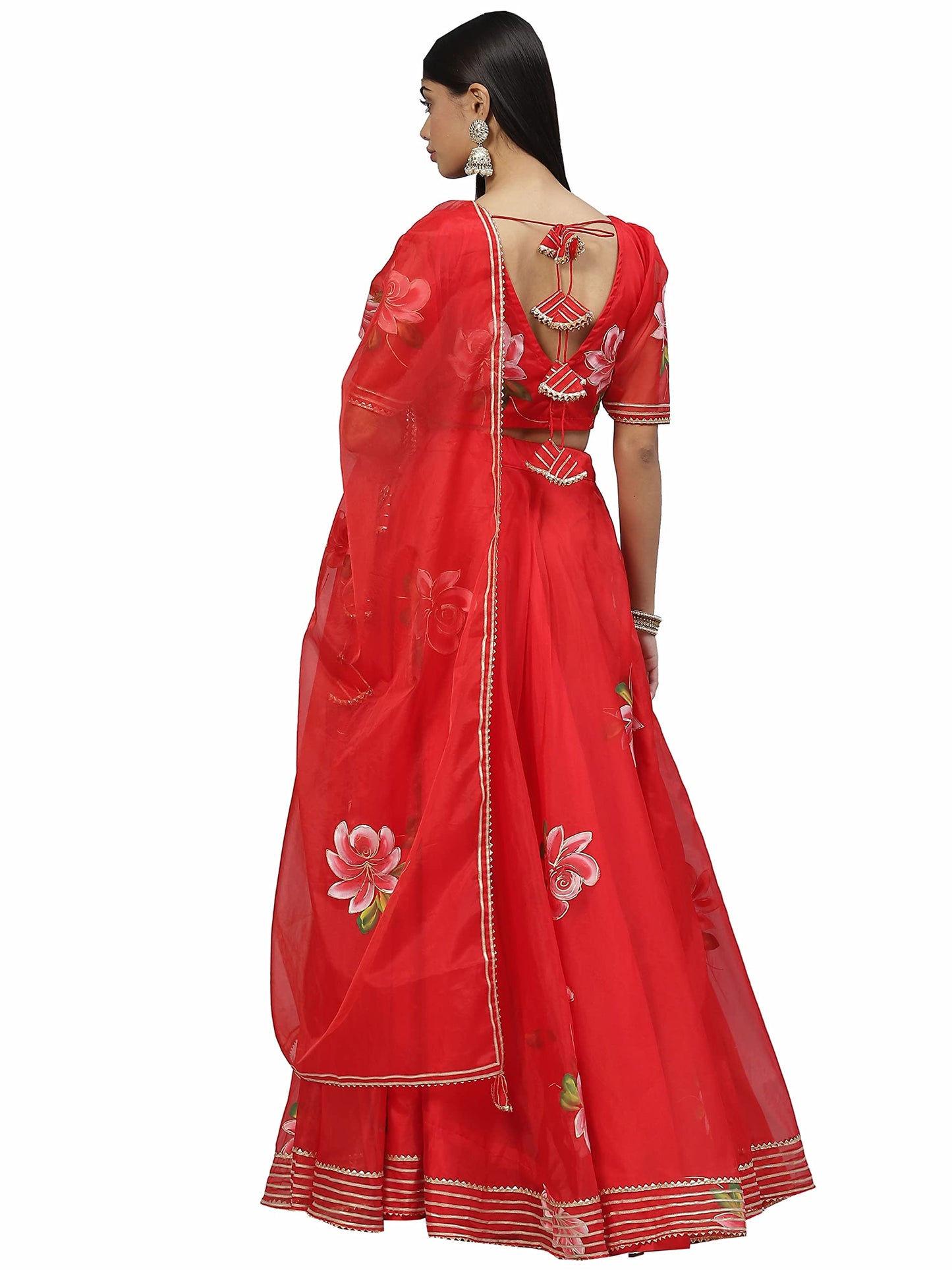 Divena Red Hand Painted Organza Flared Lehenga Choli Set with Organza Dupatta