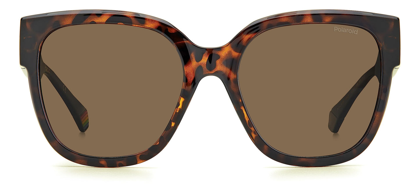 Polaroid PLD 6167/S HAVANA WOMEN SUNGLASS