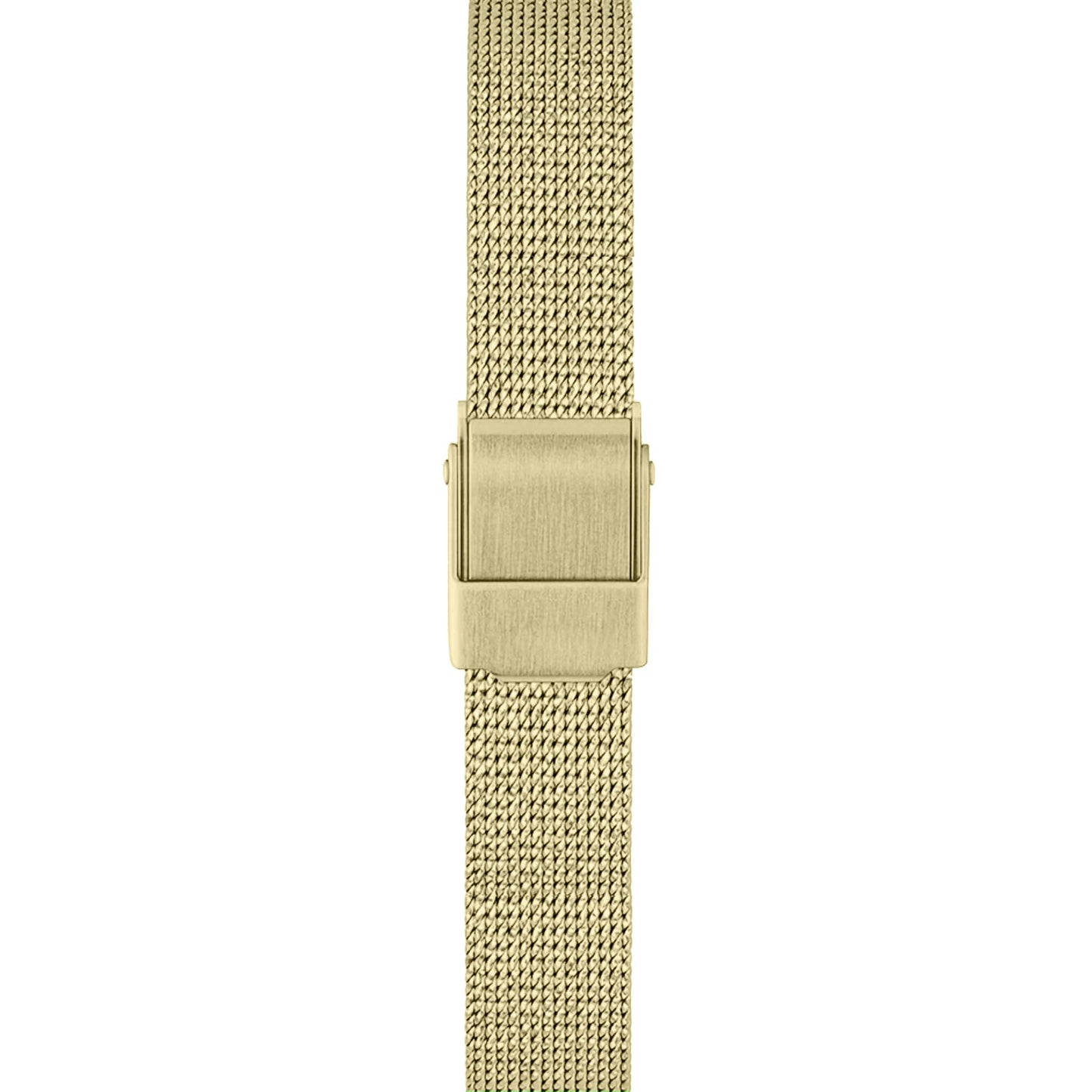 Carlton London Diana Women Analog Watch-CLDWMS-02