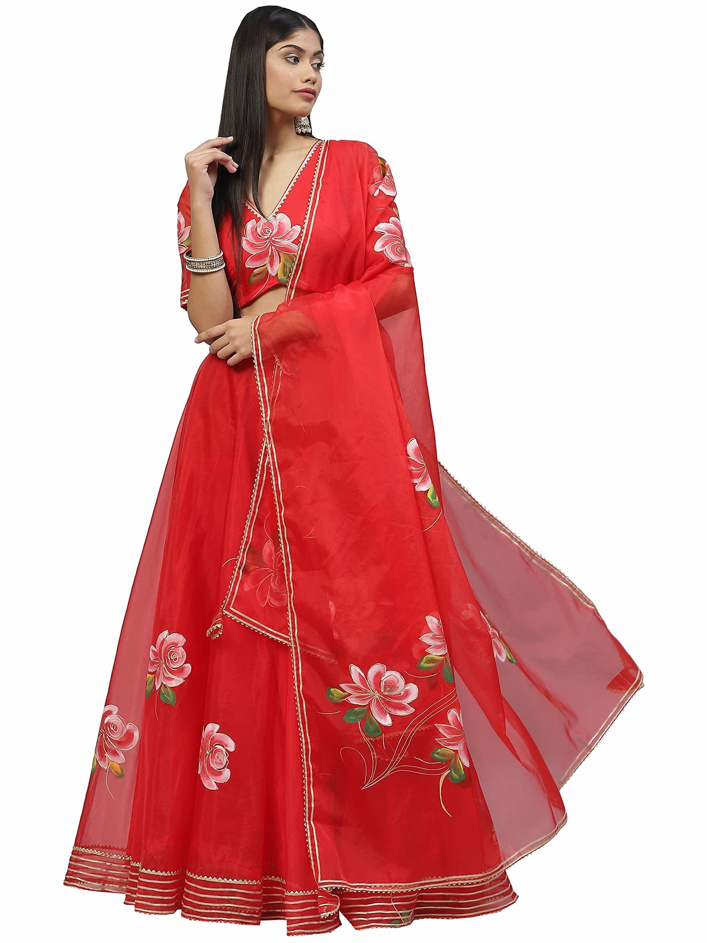 Divena Red Hand Painted Organza Flared Lehenga Choli Set with Organza Dupatta