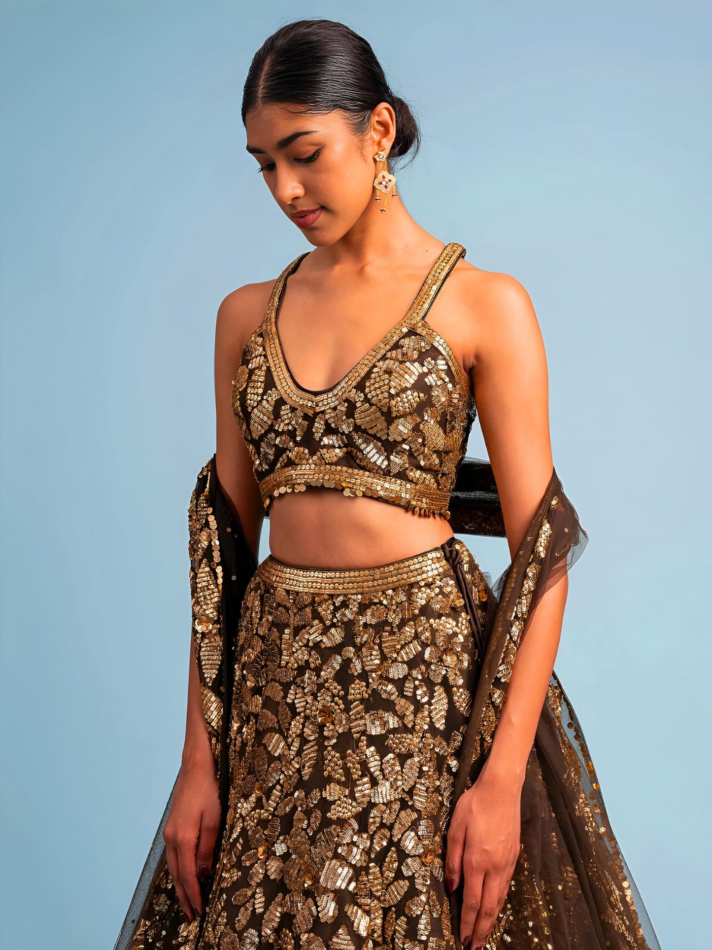 Zeel Clothing Women Net Semi stitched Sequins Embroidered Soft Lehenga Choli With Dupatta (5106-Brown-Latest; Free Size)