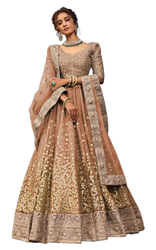 Divine Exim Women's Net Semi Stitched Lehenga Choli with Dupatta | Dori and Sequin Embroidery Pattern | Traditional, Wedding, Ethnic Wear Lehenga (Brown)