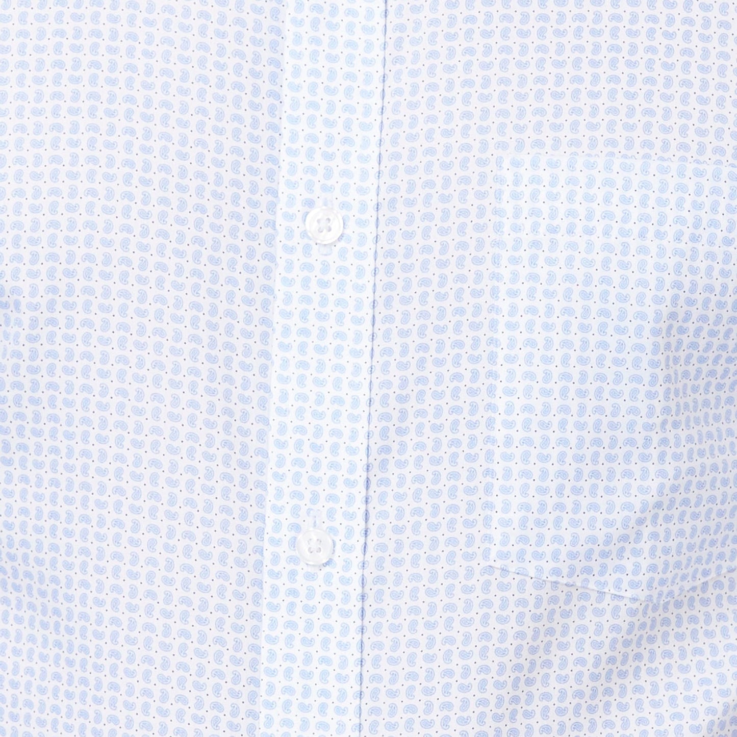 Park Avenue Men's Print Regular Fit Shirt (Blue)