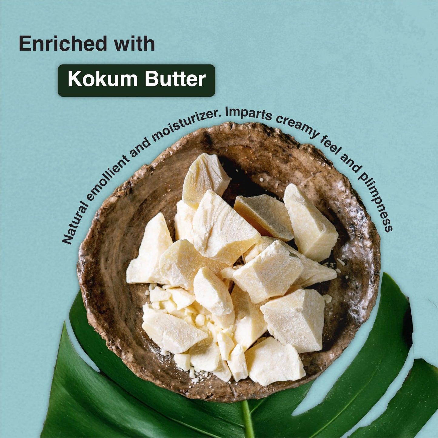 Dazller Lip Colour Lipstick Combo Pack of 6|Vibrant Matte Liquid Lipstick for Women|Long Stay|Smudge-Proof|Non-Transfer|Spicy Nudes|21.6g