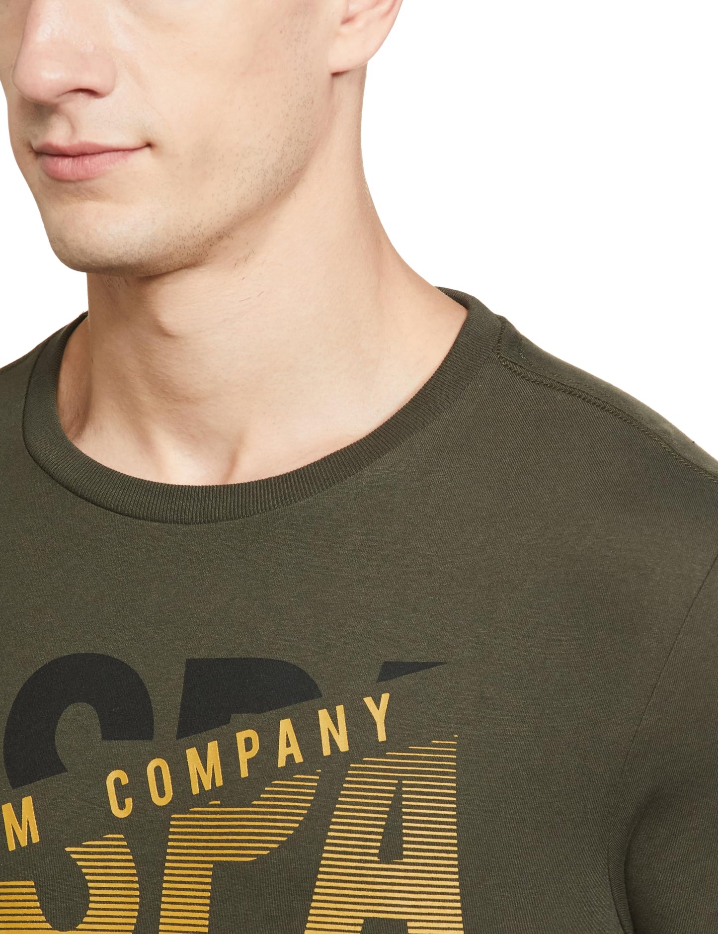 U.S. POLO ASSN. Mens Solid Half Sleeve Round Neck T-Shirts (UDTSHS0411_Olive_L)