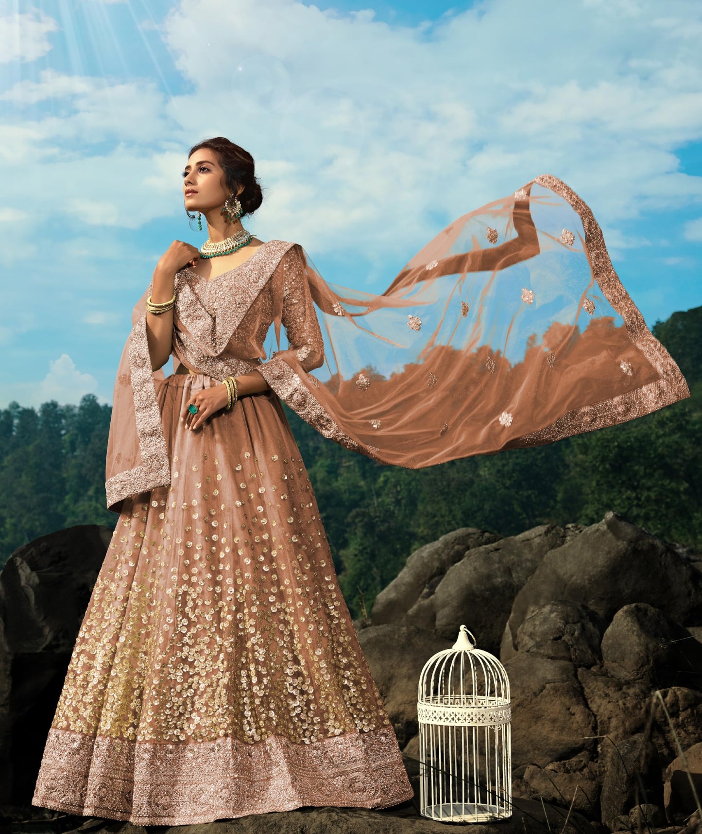 Divine Exim Women's Net Semi Stitched Lehenga Choli with Dupatta | Dori and Sequin Embroidery Pattern | Traditional, Wedding, Ethnic Wear Lehenga (Brown)