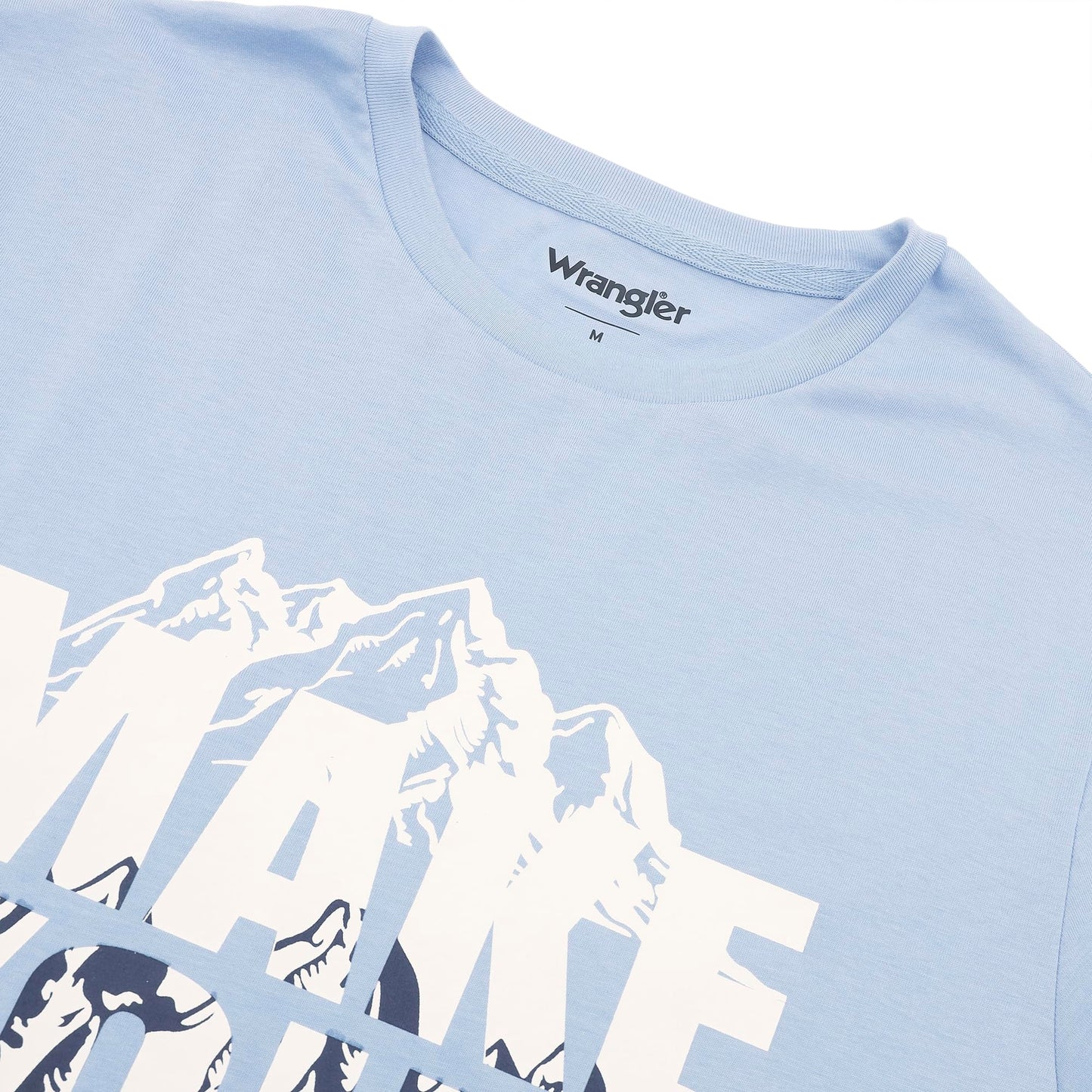 Wrangler Men's Regular Fit T-Shirt (WMTS006353_Blue