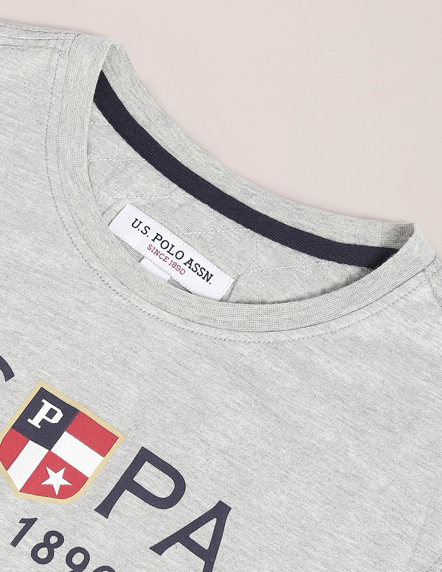 U.S. POLO ASSN. Men's Crew Neck Long Sleeve Brand Print Cotton T-Shirt (USTSHS1388_Grey_L)