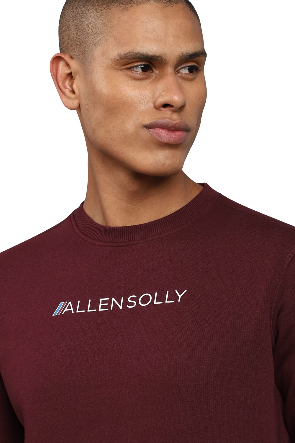 Allen Solly Men's Regular Cotton Crew Neck Casual Sweatshirt Pink, Large(ASSTCRGFI88974) Large 
