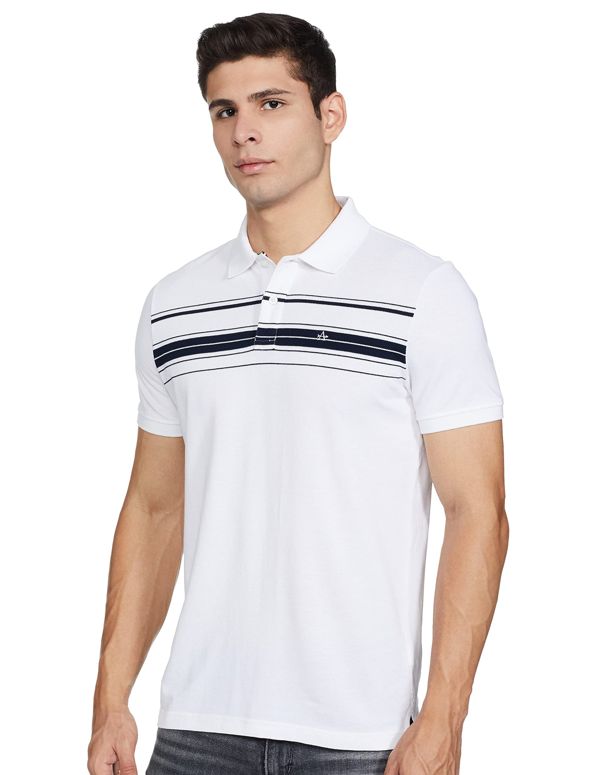Arrow Men's Striped Regular T-Shirt (ASACTS3383_White S) 