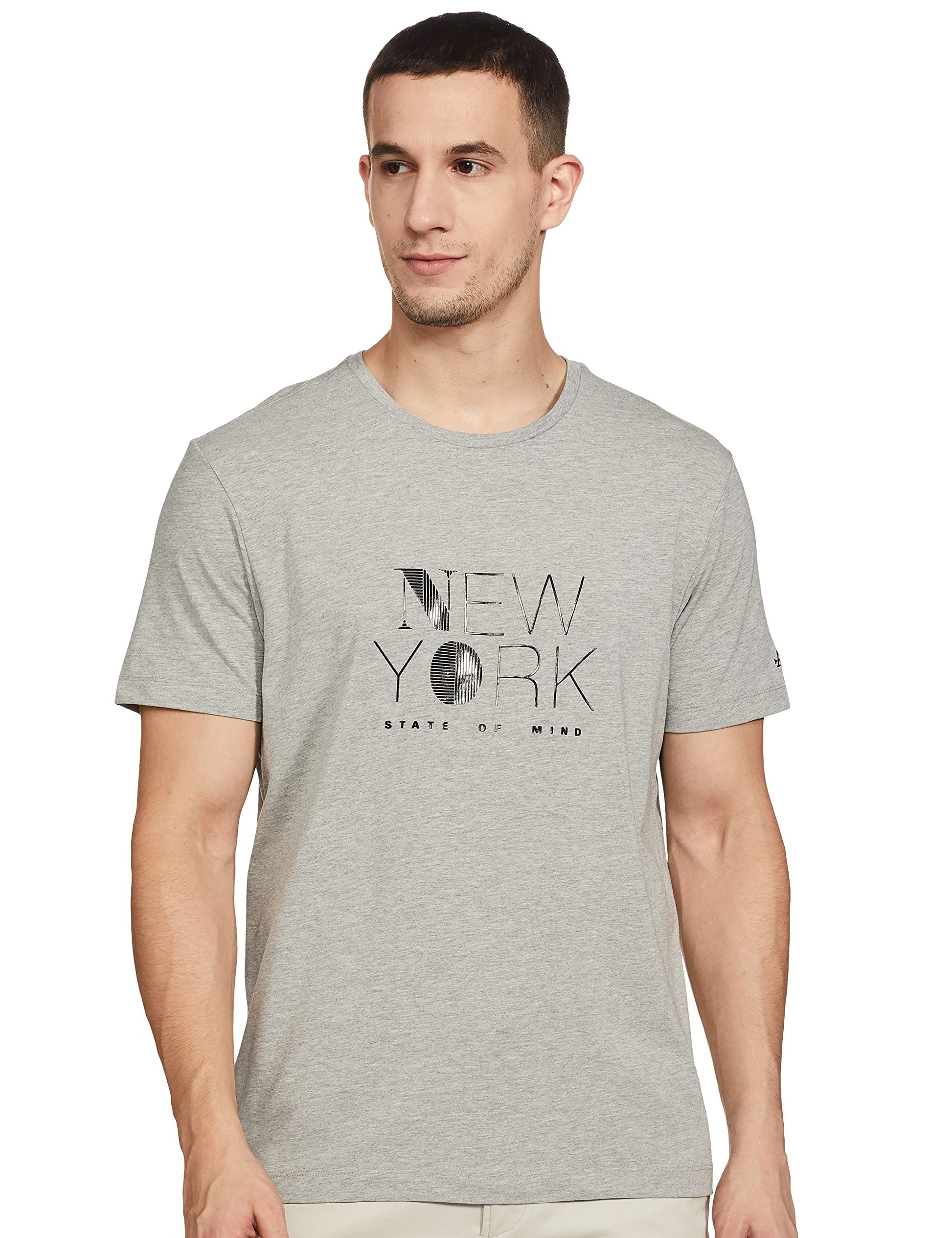 Arrow New York Men's Printed Regular T-Shirt (ANABTS3177_Grey Melange S) 