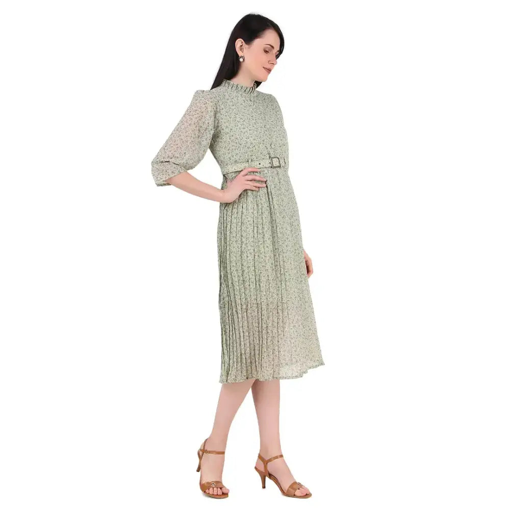 Baberwals Women's Floral Tunic Pleated Midi Dress (Light Green) 