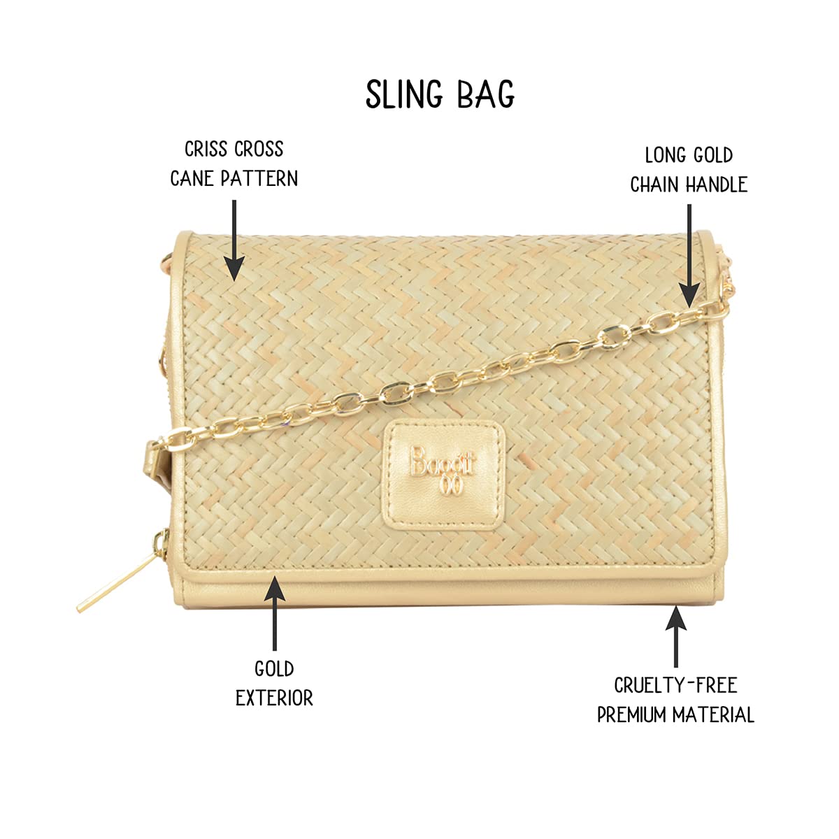 Baggit Women's Sling Bag (Gold) 