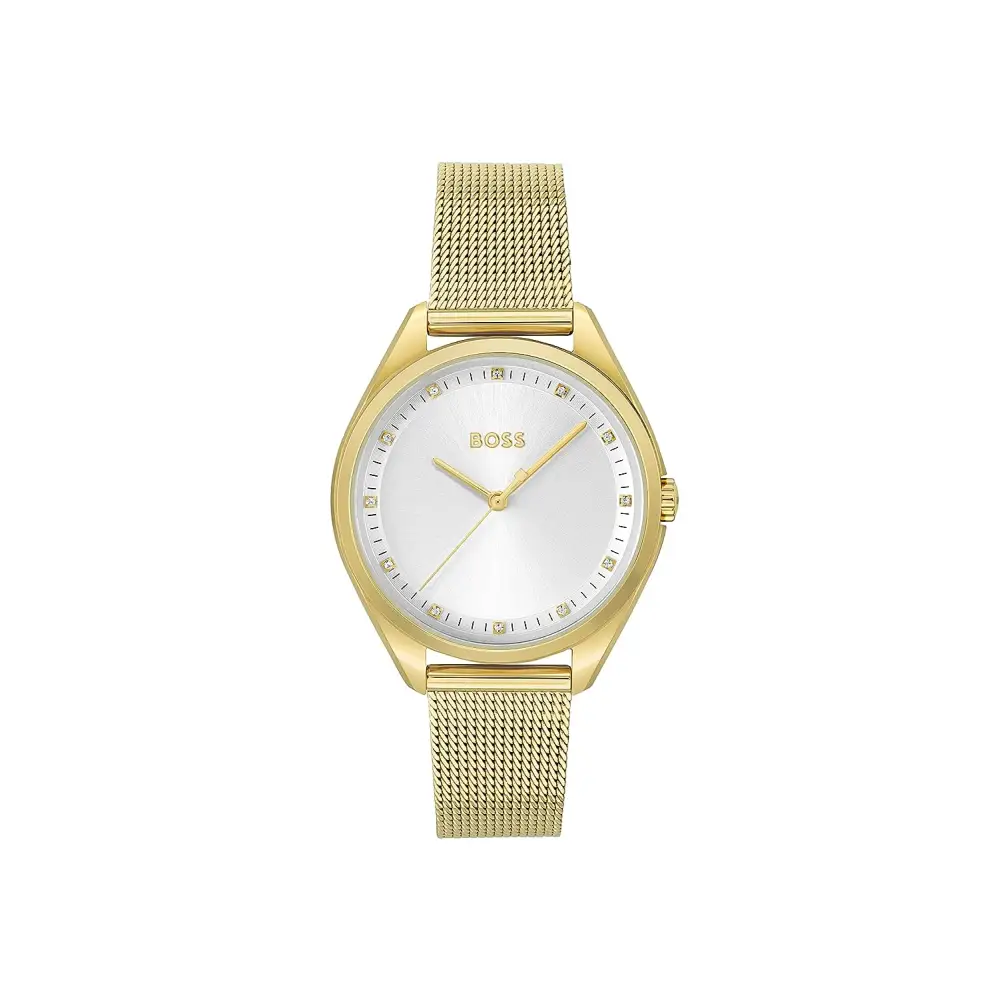 Hugo Boss Saya Analog Silver Dial Women’s Watch-1502669