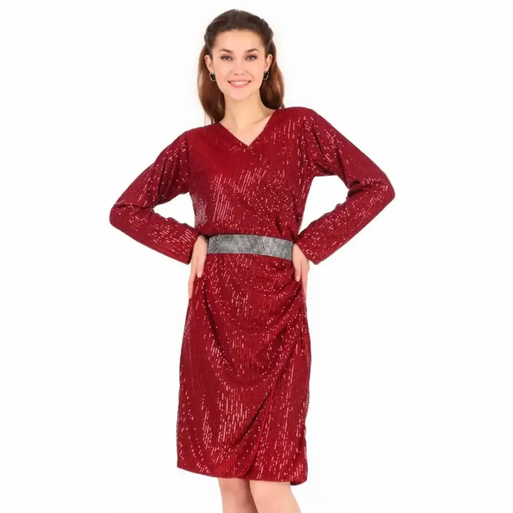 Women Red Solid Shimmer  Sequin Dress