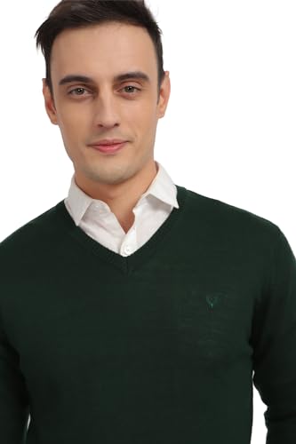 Allen Solly Men's Acrylic Blend Classic Pullover Sweater (ASSWSYRGF526665_Green