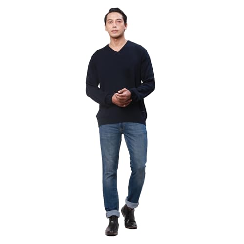Park Avenue Men's Regular Fit Acrylic Solid Pattern V Neck Full Sleeve Casual Sweater (Size: 85)-PCWA00272-B9
