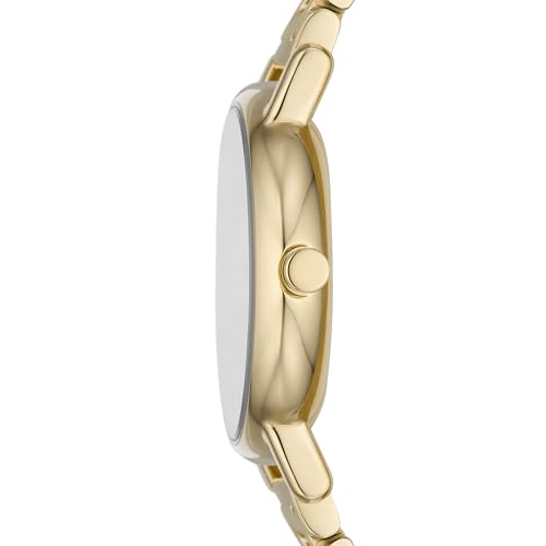 Skagen Analog Gold Dial Women's Watch