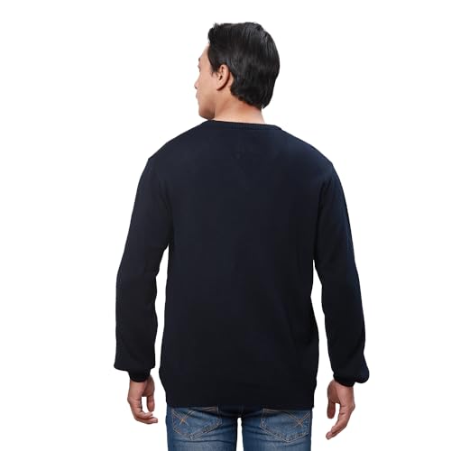 Park Avenue Men's Regular Fit Acrylic Solid Pattern V Neck Full Sleeve Casual Sweater (Size: 85)-PCWA00272-B9