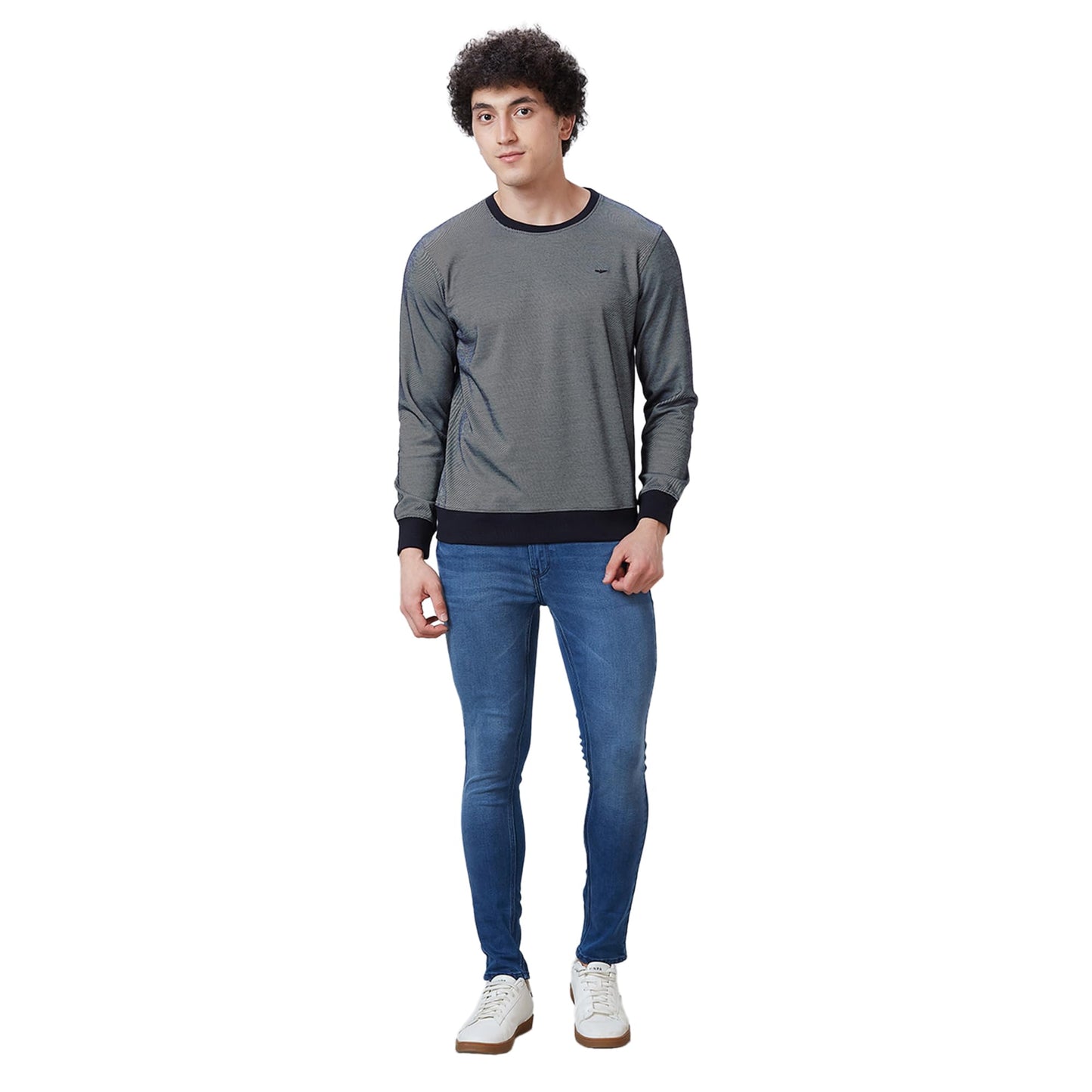 Park Avenue Men's Slim Fit Cotton Polyester Blend Two Tone Pattern Full Sleeve Regular Neck Fancy Blue Casual Sweatshirt (Size: 40)-PCAX00162-B9