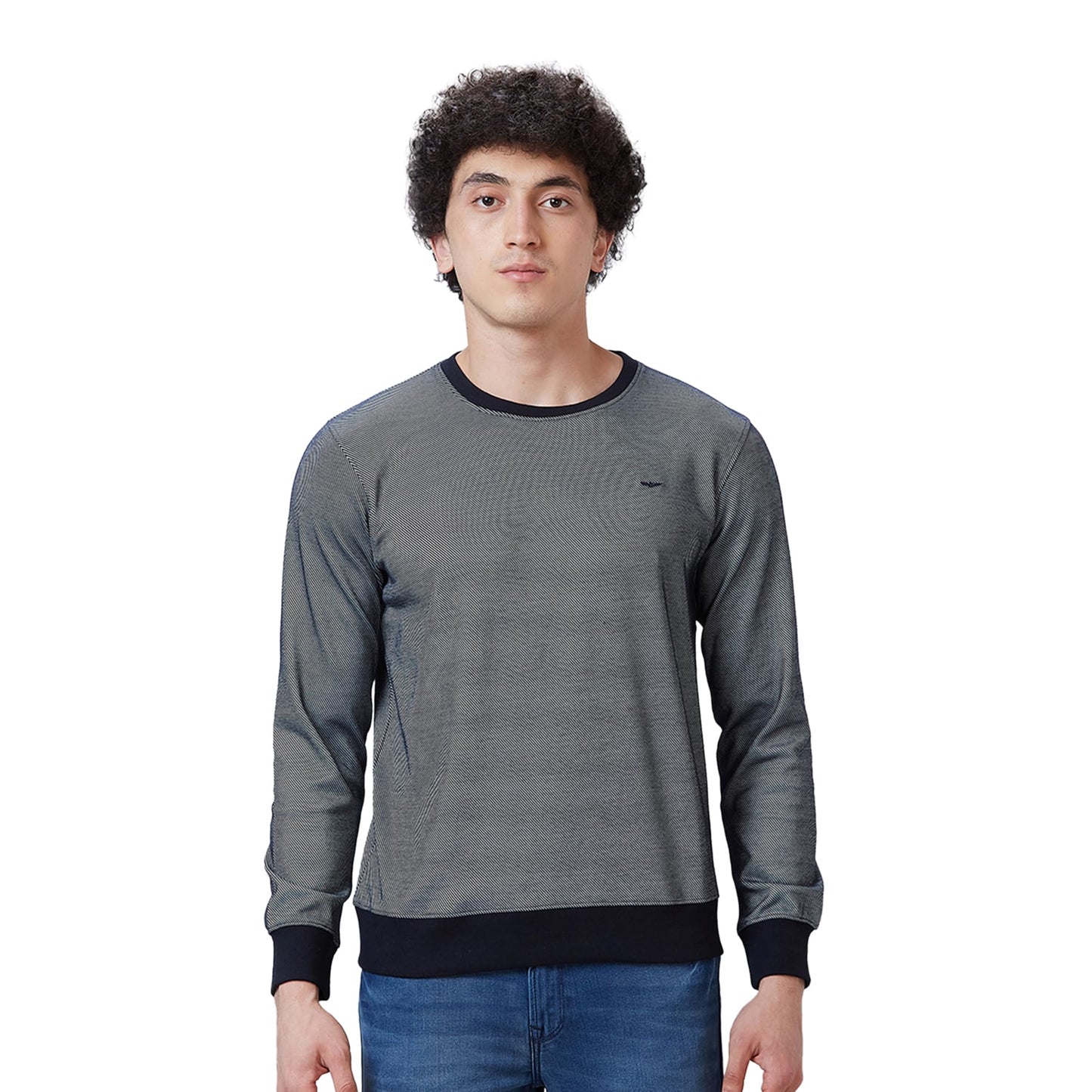Park Avenue Men's Slim Fit Cotton Polyester Blend Two Tone Pattern Full Sleeve Regular Neck Fancy Blue Casual Sweatshirt (Size: 40)-PCAX00162-B9
